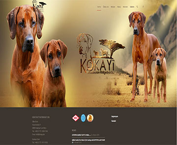 Responsive Design/Webdesign/CMS Wordpress 